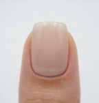 Sheer Ballet Nude